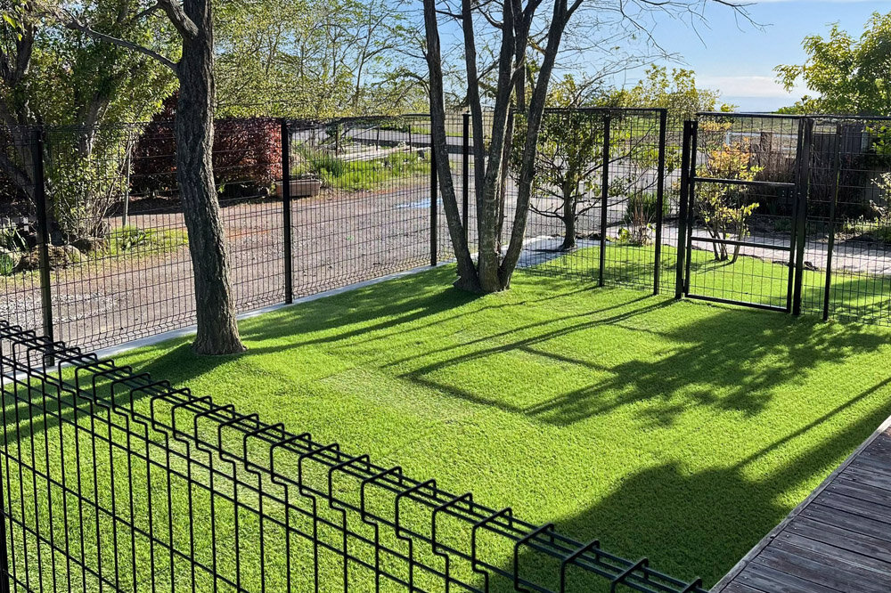 わんちゃん大はしゃぎ！メッシュフェンスと人工芝のドッグラン